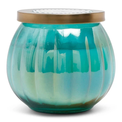 14oz Lidded Glass Jar Candle Driftwood & Sea Salt - Fresh Collection - Opalhouse™ 14oz Lidded Glass Jar Candle Driftwood & Sea Salt - Fresh Collection - Opalhouse™ -Opalhouse GUEST af124c38 d6dc 4f50 8470 3790de0382fd